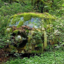 wandering-free-and-queer avatar