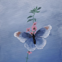 wandering-soul29 avatar