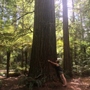 wandering-wildly avatar