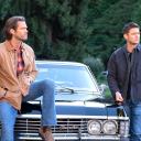 wandering-winchesters avatar