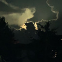 wandering-wren avatar