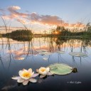 wanderingguide avatar