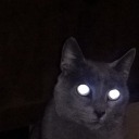 wanderinggwaters avatar