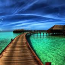 wanderingthoughts17 avatar