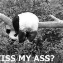 wanderlust--kate avatar