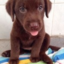 wandsandserums avatar