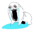 wangshunights avatar