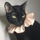 waning-waxing avatar