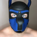 wannabe-musclepup avatar