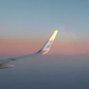 wannagoastray avatar