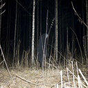 wantedtosavetheworld avatar