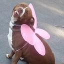 wants2go-h-o-m-e avatar