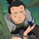 wapo-traketero avatar