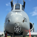 waranddestruction avatar