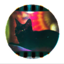 warble-gloming avatar