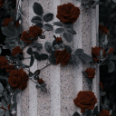 wardarose2004 avatar