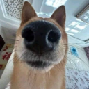 wardenofteeth avatar