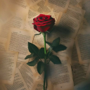 wardetelshams3 avatar