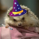 warlockhedgehog avatar