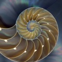 warlockofagnesi avatar