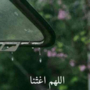 warm-rain-00 avatar