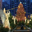 warmchristmascheer avatar