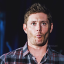 warmhomieveggie avatar