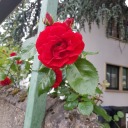 warmrainonawinterday avatar