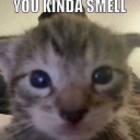 warmsofthands avatar