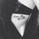 warmwildheart avatar