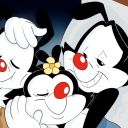 warnersibsfanclub avatar