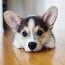 warningimboring avatar