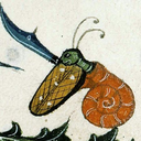 warrior-snail avatar