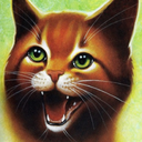 warriorcats-for-social-justice avatar