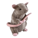 warriorgf-archive avatar