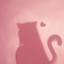 warriorkitten18 avatar