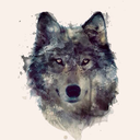 waryofthewolves avatar