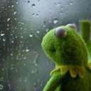 was-as-aranhas avatar