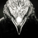 was-geht-ab-hier-oben avatar