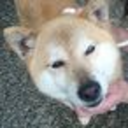 wasavivi-blog avatar