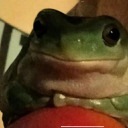 waschbaerchen33 avatar