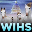 washingtonhorseshow avatar