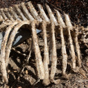 wasitmydarkness avatar