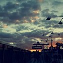 wasted-emotionss avatar