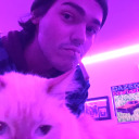 wastedyouth-on-acid avatar