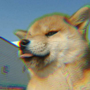 wasteland-collector avatar