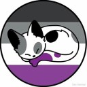 wasteofacespace avatar