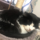 wastestimeonyoutube avatar