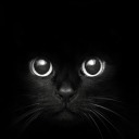 wasting-mylife avatar