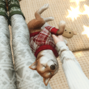 watashiwawasabi avatar